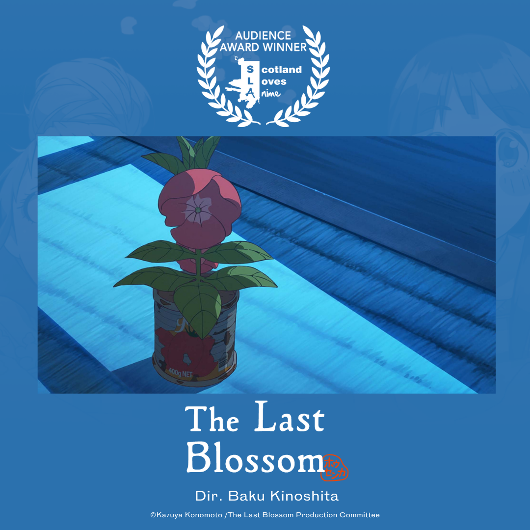 ホウセンカ 観客賞ローレル_ビジュアル